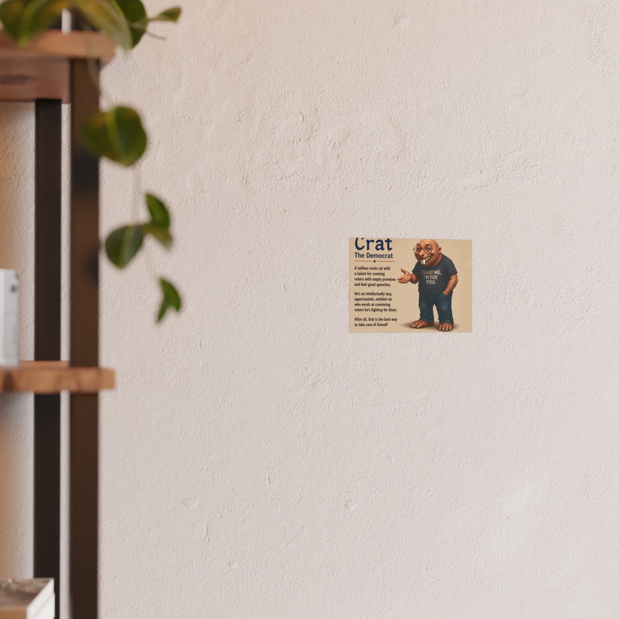 Satin and Archival Matte Posters