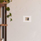 Satin and Archival Matte Posters