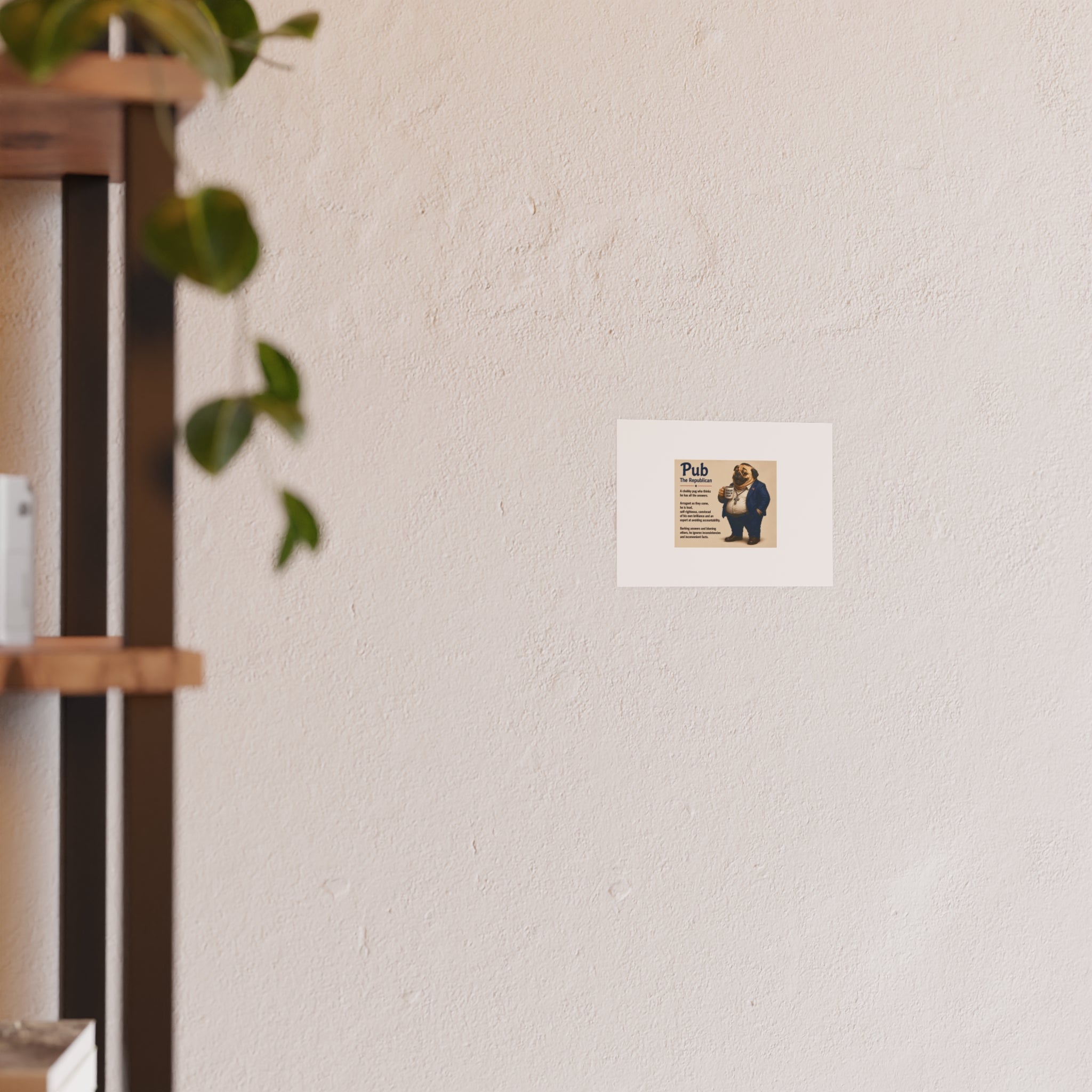 Satin and Archival Matte Posters